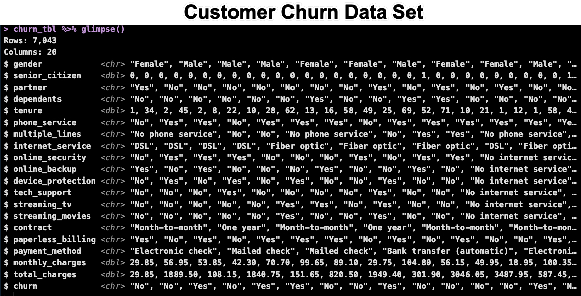 Customer Churn Data