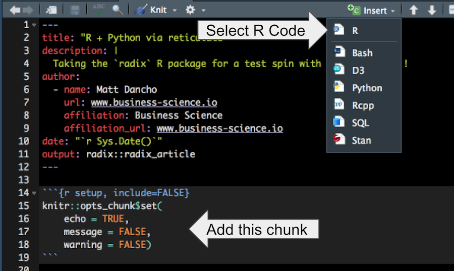R Code Chunk