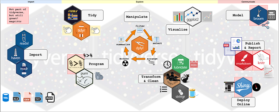 Tidyverse Workflow