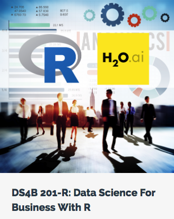 Data Science For Business With R Course