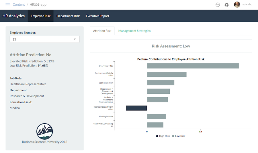 HR 202 Shiny Application: Employee Prediction