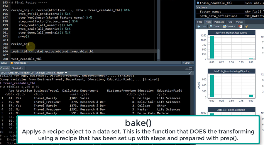 DS4B 301-R Shiny Application: Employee Prediction